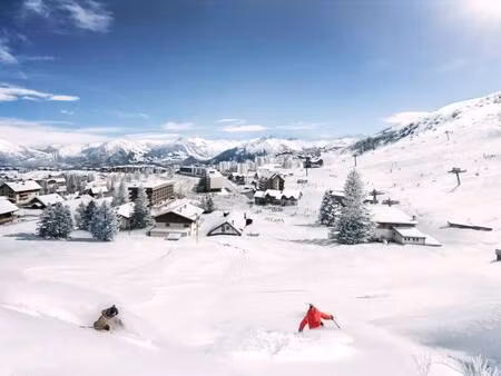 mountain collection immobilier