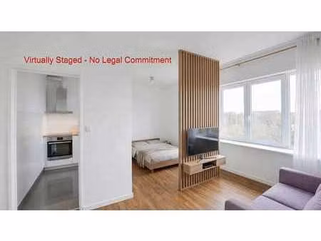 stockel - studio lumineux