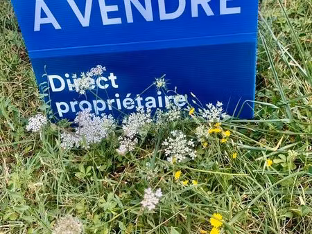 terrain plat à bâtir ecully