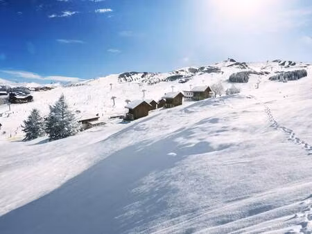 mountain collection immobilier