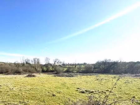 helene rabit pestka bsk immobilier