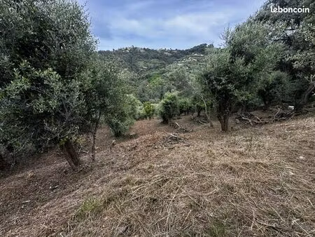 terrain 2450 m² nice