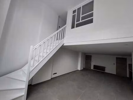 appartement/duplex entièrement renové