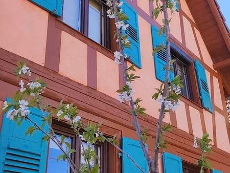 propriétaire particulier