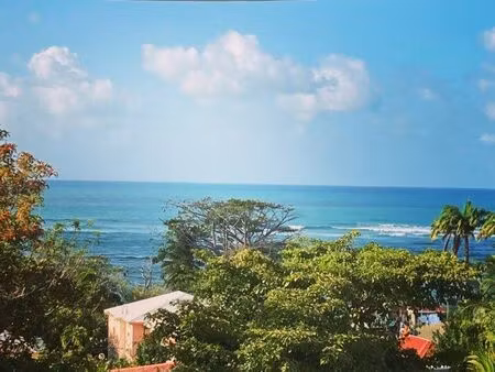 vends 2 studios tartane