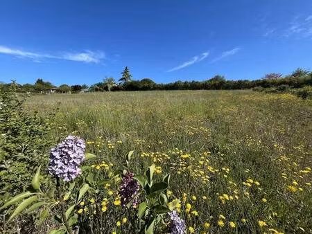 terrain constructible à vendre