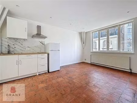 appartement 1 chambre rénové