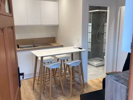 t3 refait a neuf lyon 3eme rue saint isidore