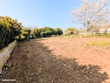 terrain constructible