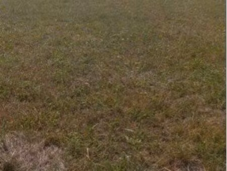 terrain nature de 3 600 m² à écuras – calme et verdure