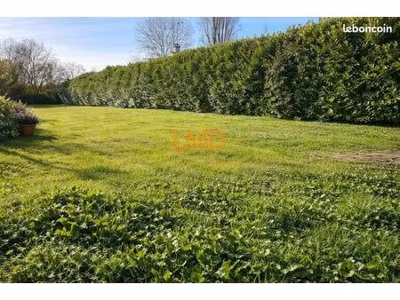 terrain 1 193 m² thors