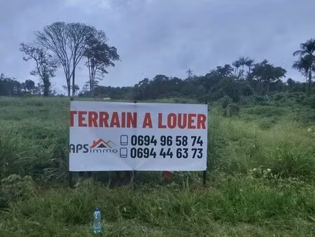 terrain 1000 m² macouria tonate