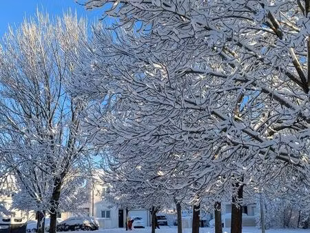 pap recherche location longue durée type 4