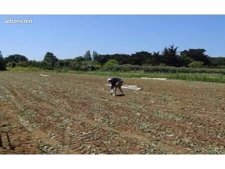 cherche terrain agricole ou de loisirs