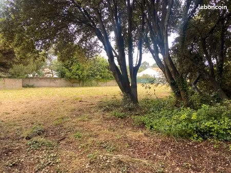 terrains constructibles viabilisés