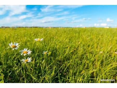 terrain 800 m² semussac