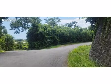 terrain la montagne 97417