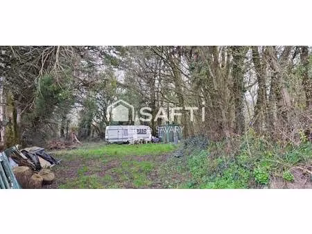 safti savary eloïse conseiller indépendant