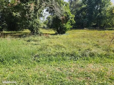 terrain 2 000 m² la douze