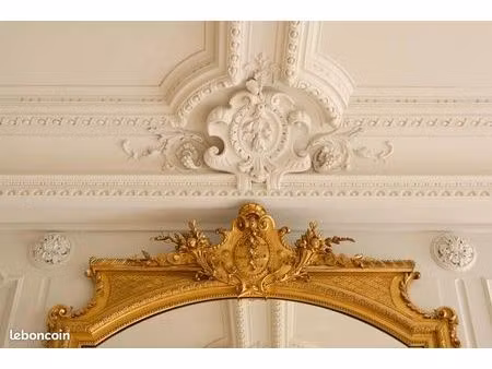 emplacement n°1 : appartement+parking pour bureaux ou cabinets  en hôtel particulier