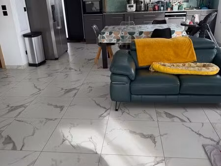 location maison f4 piton bois de nèfles