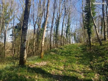 bois forêt 0 37 hectares