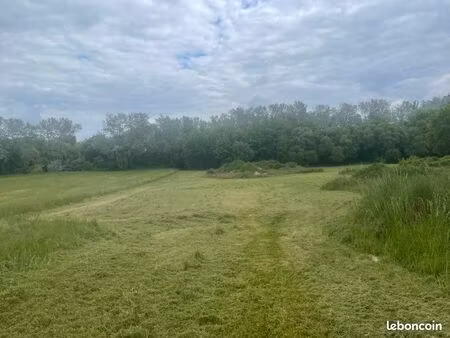 vente terrain issigeac