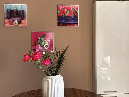 charmant duplex - besançon. quartier butte / vieilles perrières