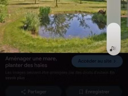 recherche  mare  piece d’eau  petit étang