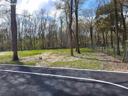 terrain à bâtir la tremblade