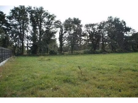 terrain constructible à vendre