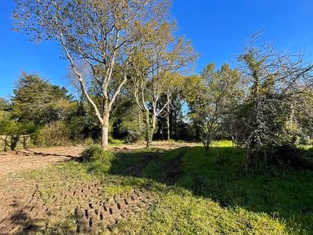 terrain constructible viabilisé à vendre