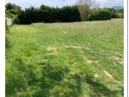 terrain constructible 828 m2