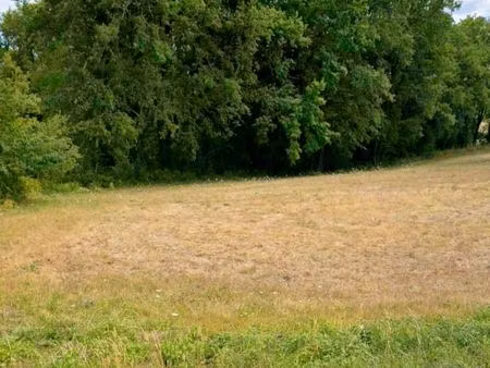 terrain 1 600 m² paulin