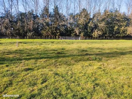 terrain constructible