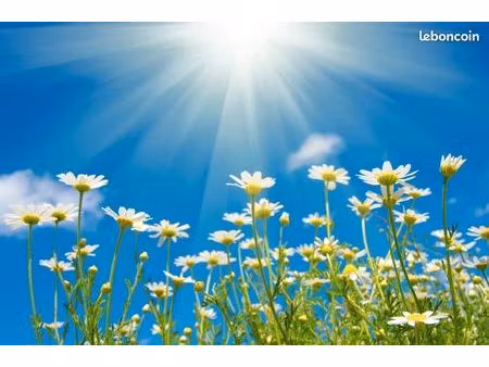 terrain 587 m² breuillet