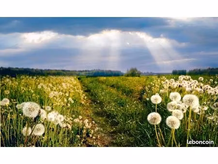 terrain 396 m² grezac