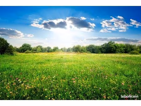 terrain 404 m² semussac