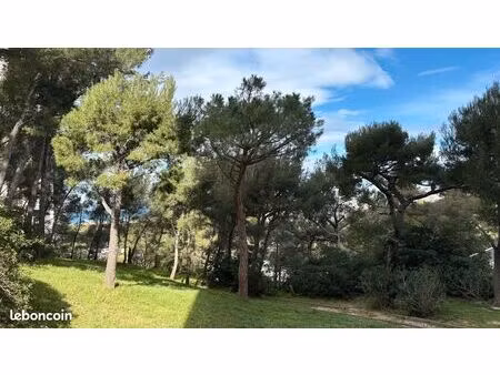 t4 roy d'espagne 91m²