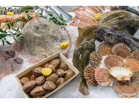 fonds de commerce  poissonnerie 180 m² perros-guirec