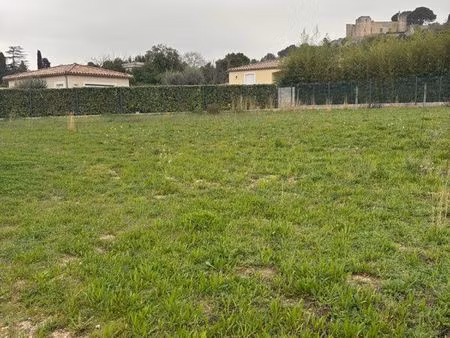 terrain constructible