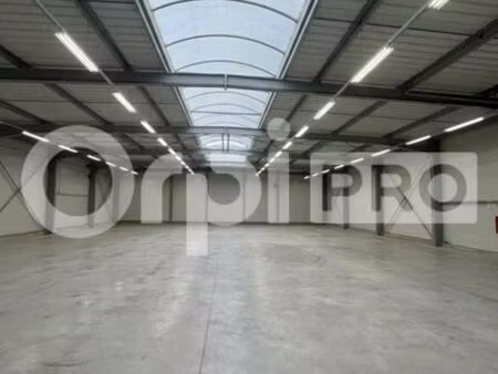 local d'activité 880 m²