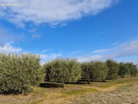 terrain 4890 m² combas