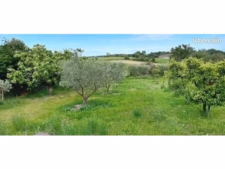 terrain agricole de 1350 m² - oliviers et poiriers