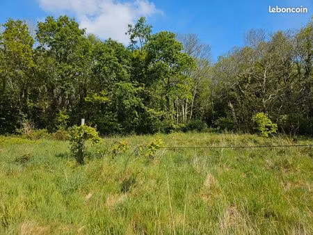 terrains 3 1 ha – agricole et zone boisée classée