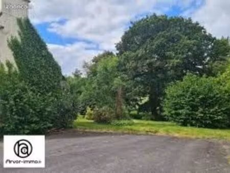 maison à usage de commerce