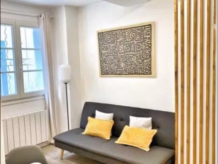 studio rénové climatisé hypercentre équipé