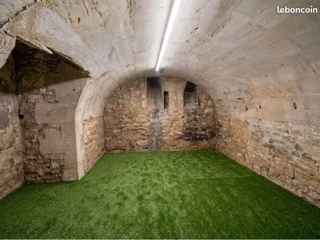 superbe cave / espace de stockage sécurisé 20 m2 très sain - hypercentre