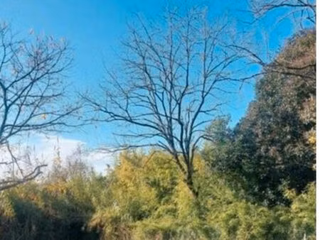 terrain 340m2 à 6km de nogaro 32110  cu ok