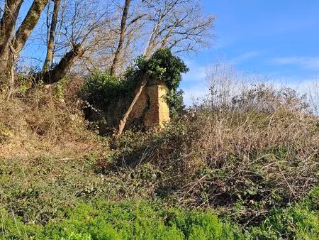 terrain 97607 m² sarraguzan